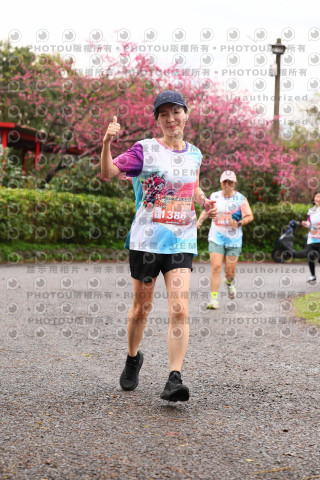 2026左岸竹東櫻花馬拉松Zhudong Sakura Marathon