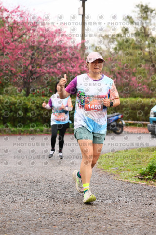 2026左岸竹東櫻花馬拉松Zhudong Sakura Marathon