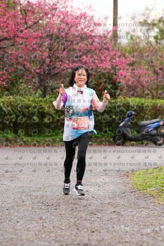 2026左岸竹東櫻花馬拉松Zhudong Sakura Marathon
