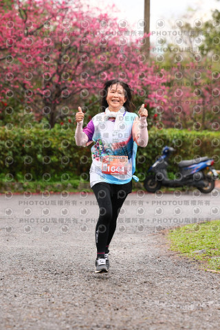 2026左岸竹東櫻花馬拉松Zhudong Sakura Marathon