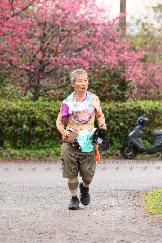 2026左岸竹東櫻花馬拉松Zhudong Sakura Marathon