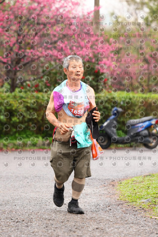2026左岸竹東櫻花馬拉松Zhudong Sakura Marathon