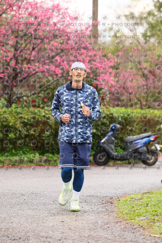 2026左岸竹東櫻花馬拉松Zhudong Sakura Marathon