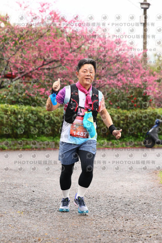 2026左岸竹東櫻花馬拉松Zhudong Sakura Marathon