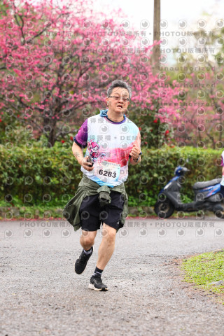 2026左岸竹東櫻花馬拉松Zhudong Sakura Marathon