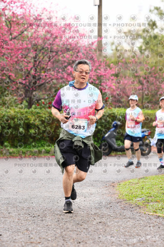 2026左岸竹東櫻花馬拉松Zhudong Sakura Marathon