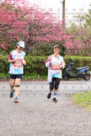 2026左岸竹東櫻花馬拉松Zhudong Sakura Marathon
