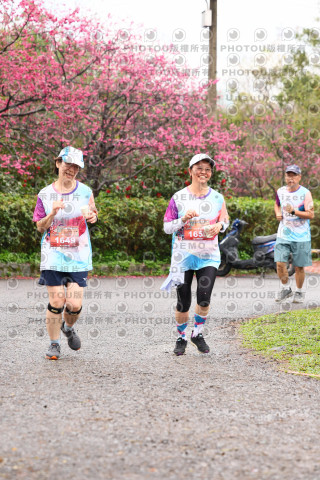 2026左岸竹東櫻花馬拉松Zhudong Sakura Marathon