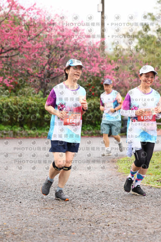 2026左岸竹東櫻花馬拉松Zhudong Sakura Marathon