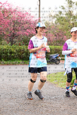 2026左岸竹東櫻花馬拉松Zhudong Sakura Marathon