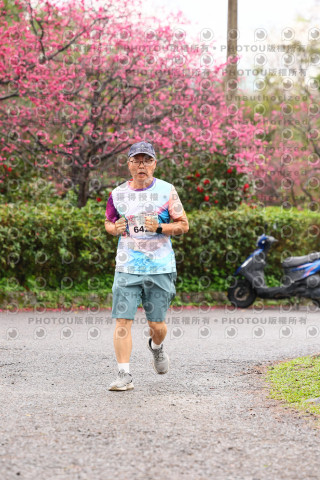2026左岸竹東櫻花馬拉松Zhudong Sakura Marathon