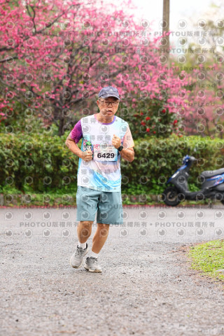 2026左岸竹東櫻花馬拉松Zhudong Sakura Marathon