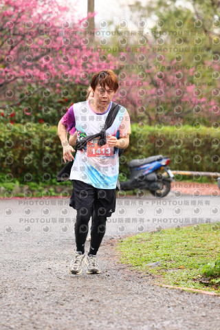 2026左岸竹東櫻花馬拉松Zhudong Sakura Marathon