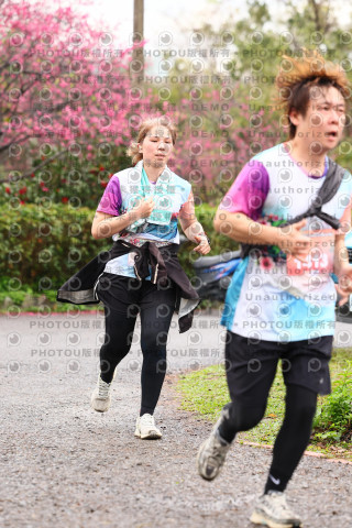 2026左岸竹東櫻花馬拉松Zhudong Sakura Marathon