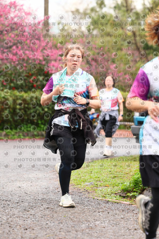 2026左岸竹東櫻花馬拉松Zhudong Sakura Marathon