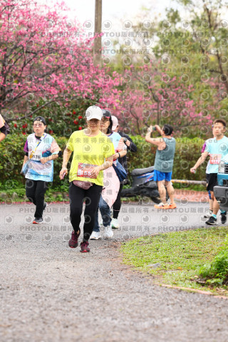 2026左岸竹東櫻花馬拉松Zhudong Sakura Marathon