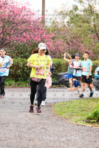 2026左岸竹東櫻花馬拉松Zhudong Sakura Marathon