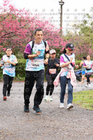 2026左岸竹東櫻花馬拉松Zhudong Sakura Marathon