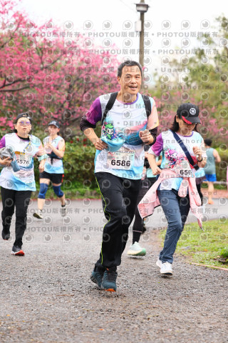 2026左岸竹東櫻花馬拉松Zhudong Sakura Marathon