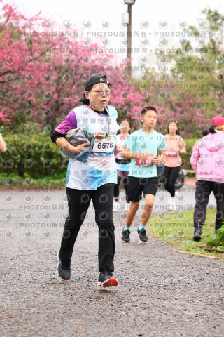 2026左岸竹東櫻花馬拉松Zhudong Sakura Marathon