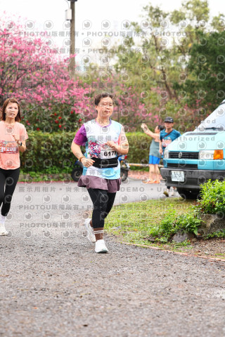 2026左岸竹東櫻花馬拉松Zhudong Sakura Marathon