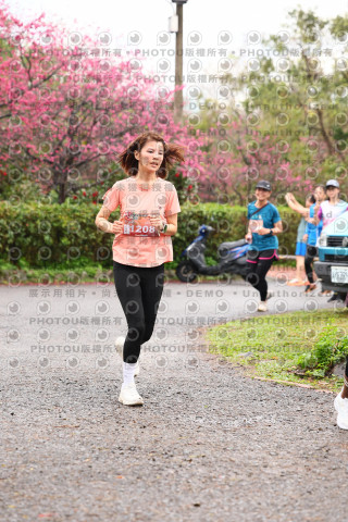 2026左岸竹東櫻花馬拉松Zhudong Sakura Marathon