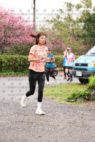 2026左岸竹東櫻花馬拉松Zhudong Sakura Marathon