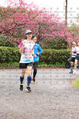 2026左岸竹東櫻花馬拉松Zhudong Sakura Marathon