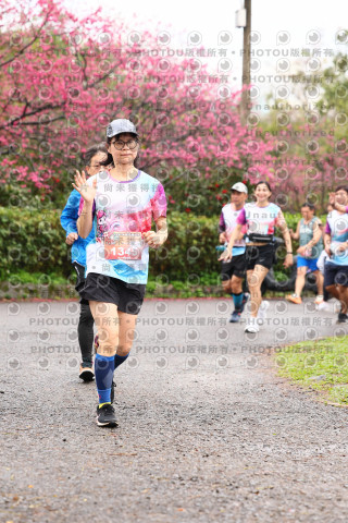 2026左岸竹東櫻花馬拉松Zhudong Sakura Marathon