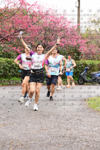 2026左岸竹東櫻花馬拉松Zhudong Sakura Marathon