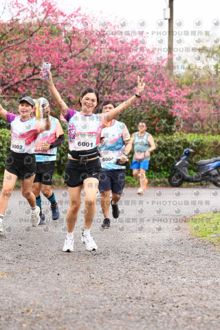2026左岸竹東櫻花馬拉松Zhudong Sakura Marathon