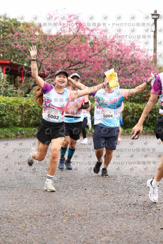 2026左岸竹東櫻花馬拉松Zhudong Sakura Marathon