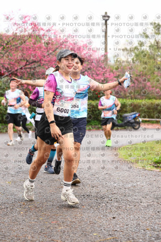 2026左岸竹東櫻花馬拉松Zhudong Sakura Marathon