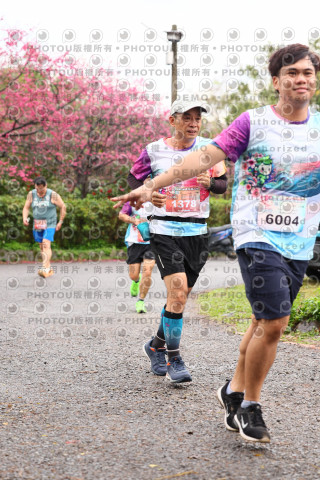 2026左岸竹東櫻花馬拉松Zhudong Sakura Marathon
