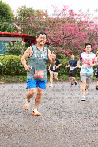 2026左岸竹東櫻花馬拉松Zhudong Sakura Marathon