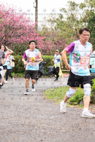 2026左岸竹東櫻花馬拉松Zhudong Sakura Marathon