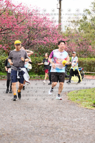 2026左岸竹東櫻花馬拉松Zhudong Sakura Marathon