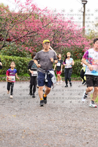 2026左岸竹東櫻花馬拉松Zhudong Sakura Marathon