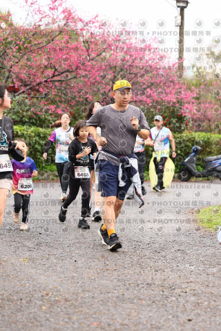 2026左岸竹東櫻花馬拉松Zhudong Sakura Marathon