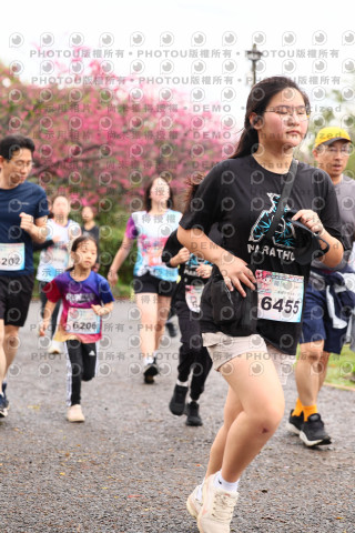 2026左岸竹東櫻花馬拉松Zhudong Sakura Marathon