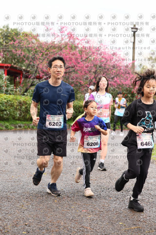 2026左岸竹東櫻花馬拉松Zhudong Sakura Marathon