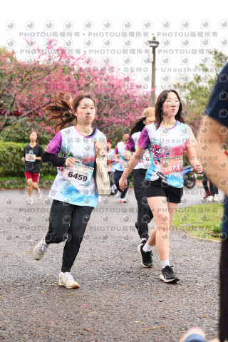 2026左岸竹東櫻花馬拉松Zhudong Sakura Marathon