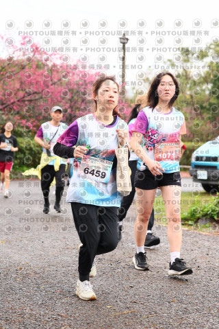 2026左岸竹東櫻花馬拉松Zhudong Sakura Marathon