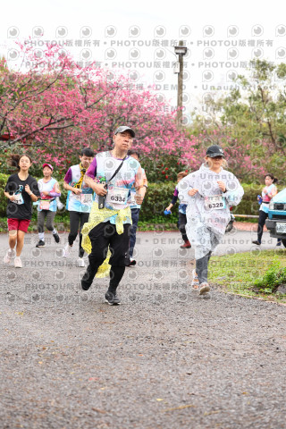 2026左岸竹東櫻花馬拉松Zhudong Sakura Marathon