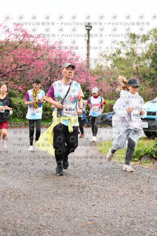 2026左岸竹東櫻花馬拉松Zhudong Sakura Marathon