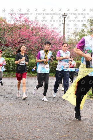 2026左岸竹東櫻花馬拉松Zhudong Sakura Marathon