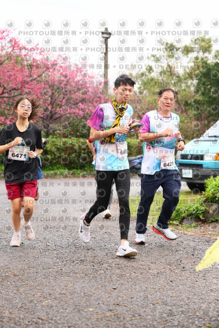 2026左岸竹東櫻花馬拉松Zhudong Sakura Marathon