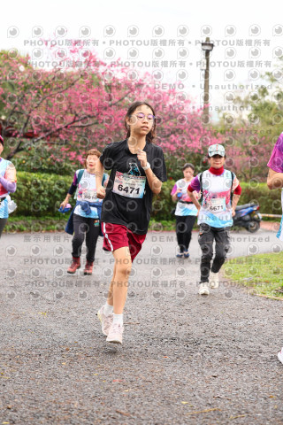 2026左岸竹東櫻花馬拉松Zhudong Sakura Marathon