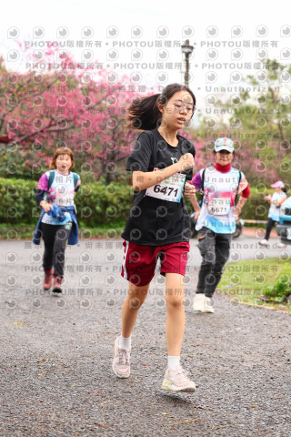 2026左岸竹東櫻花馬拉松Zhudong Sakura Marathon