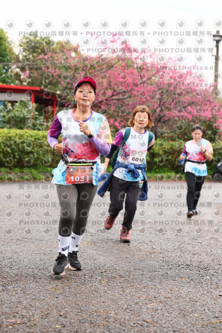 2026左岸竹東櫻花馬拉松Zhudong Sakura Marathon